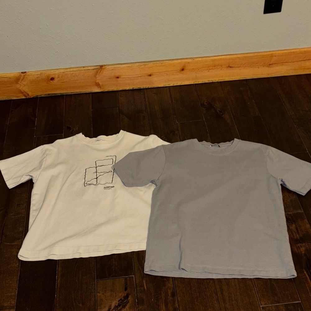 👍Zara Men’s Graphic and Solid T-Shirt Set size Medium